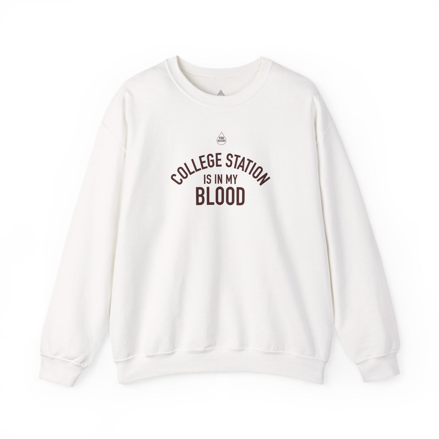 College Station IMB Sweatshirt