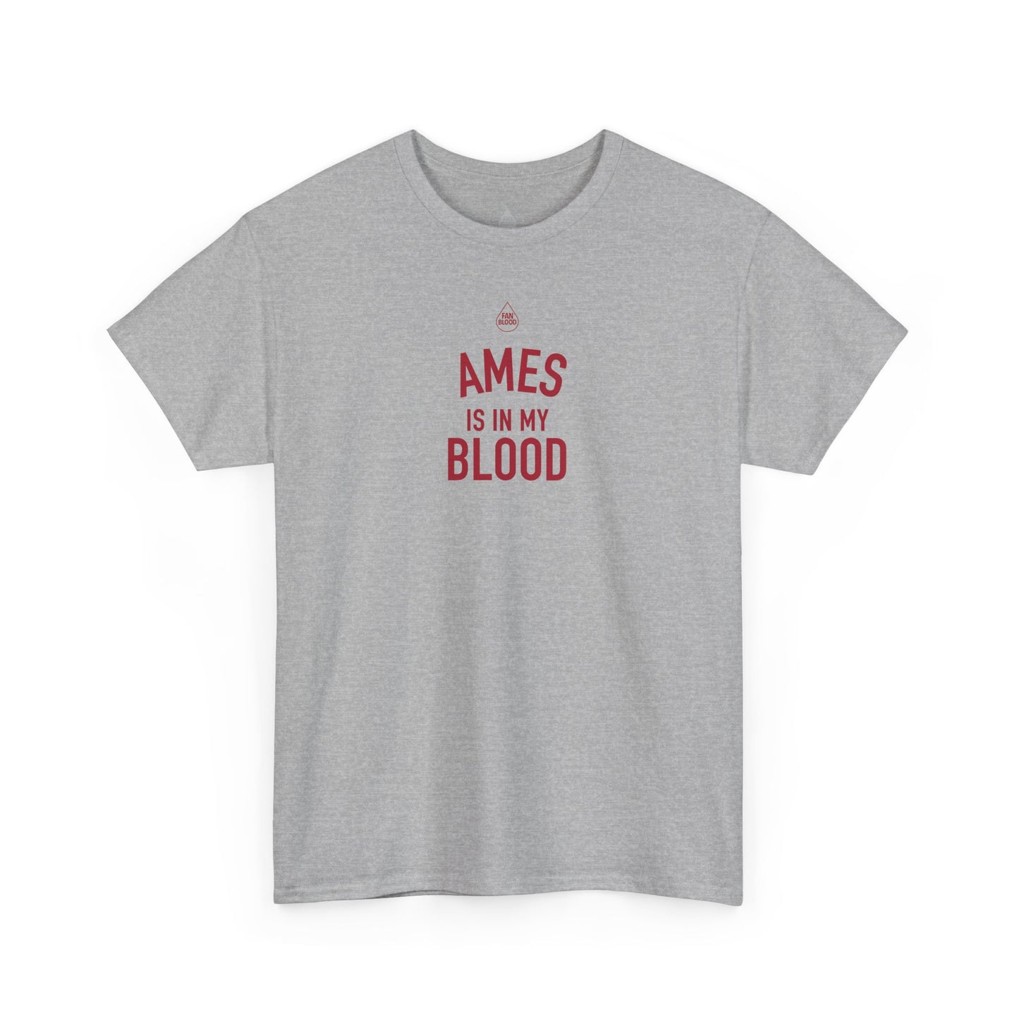 Ames IMB T-Shirt