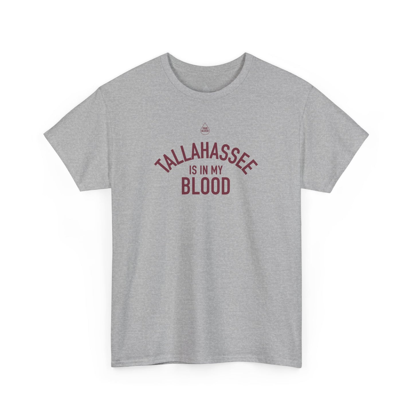 Tallahassee IMB T-Shirt