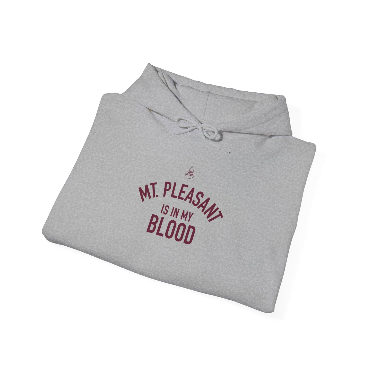Mt. Pleasant IMB Hoodie