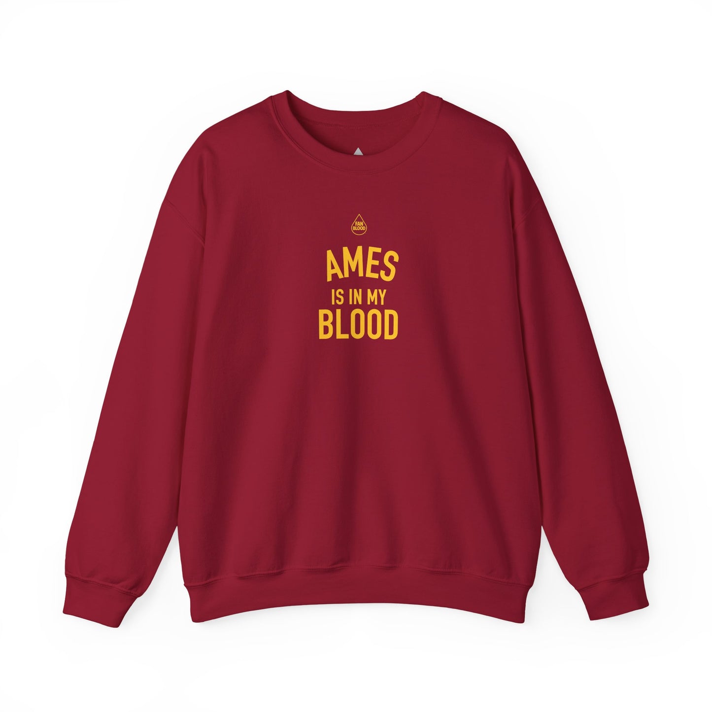 Ames IMB Sweatshirt