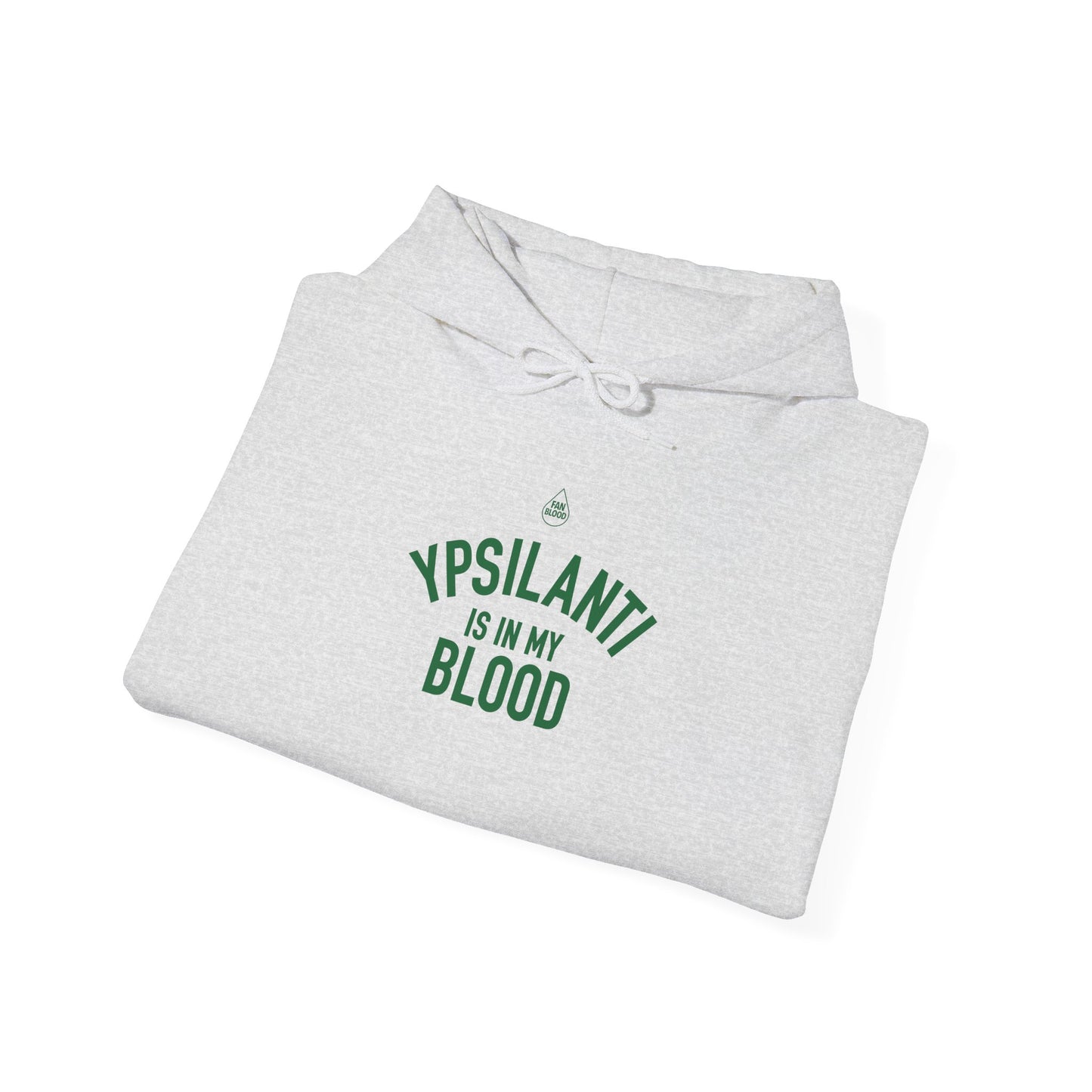 Ypsilanti IMB Hoodie