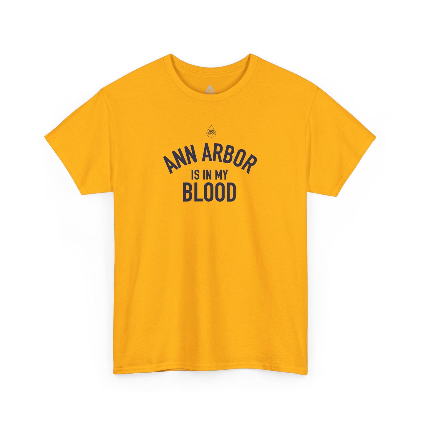 Ann Arbor IMB T-Shirt
