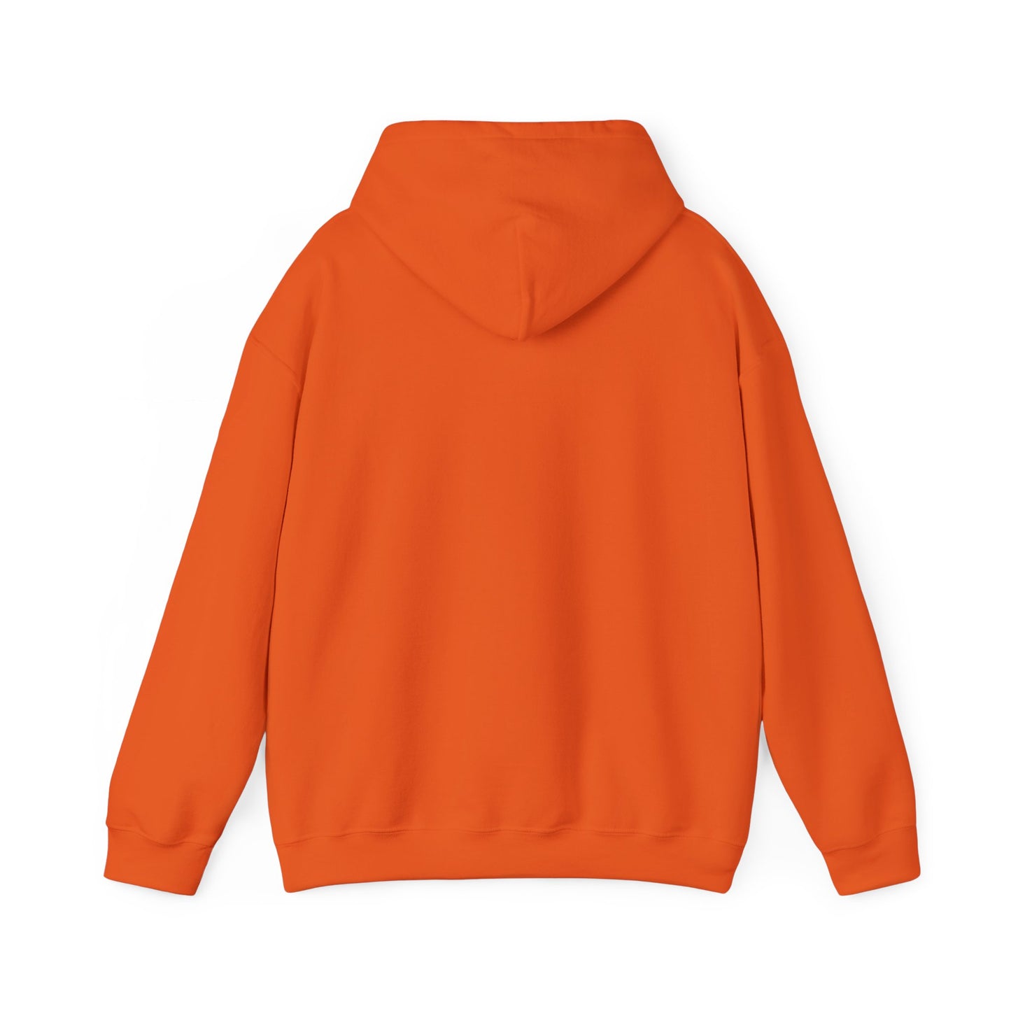 I Bleed Aqua & Orange Hoodie