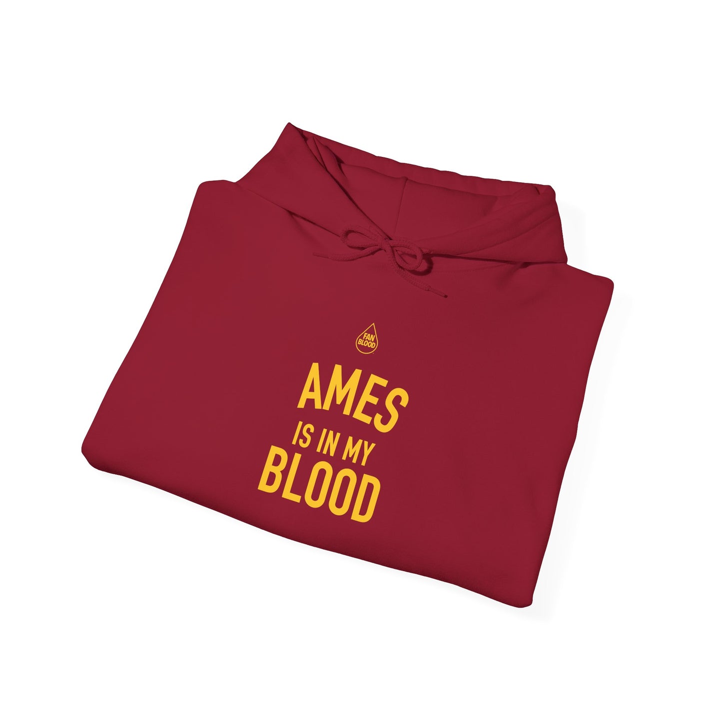 Ames IMB Hoodie