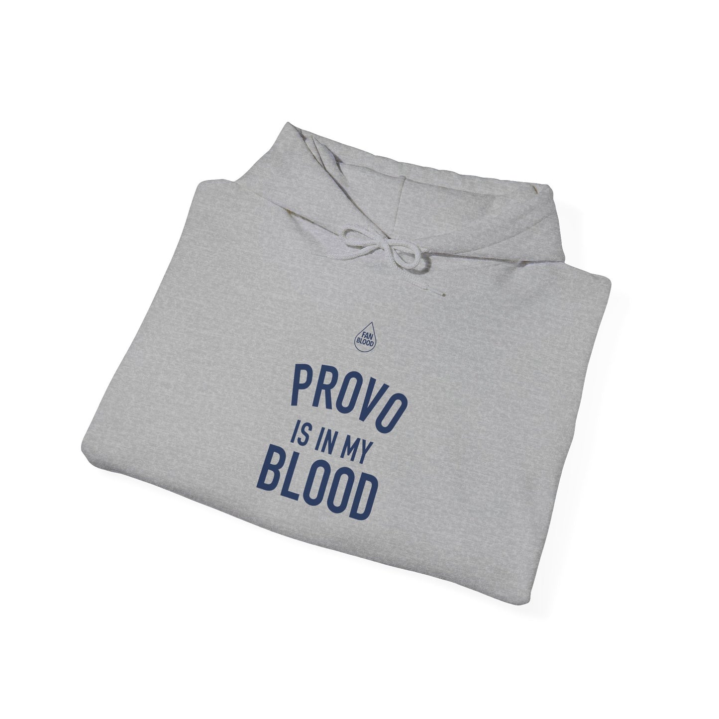 Provo IMB Hoodie