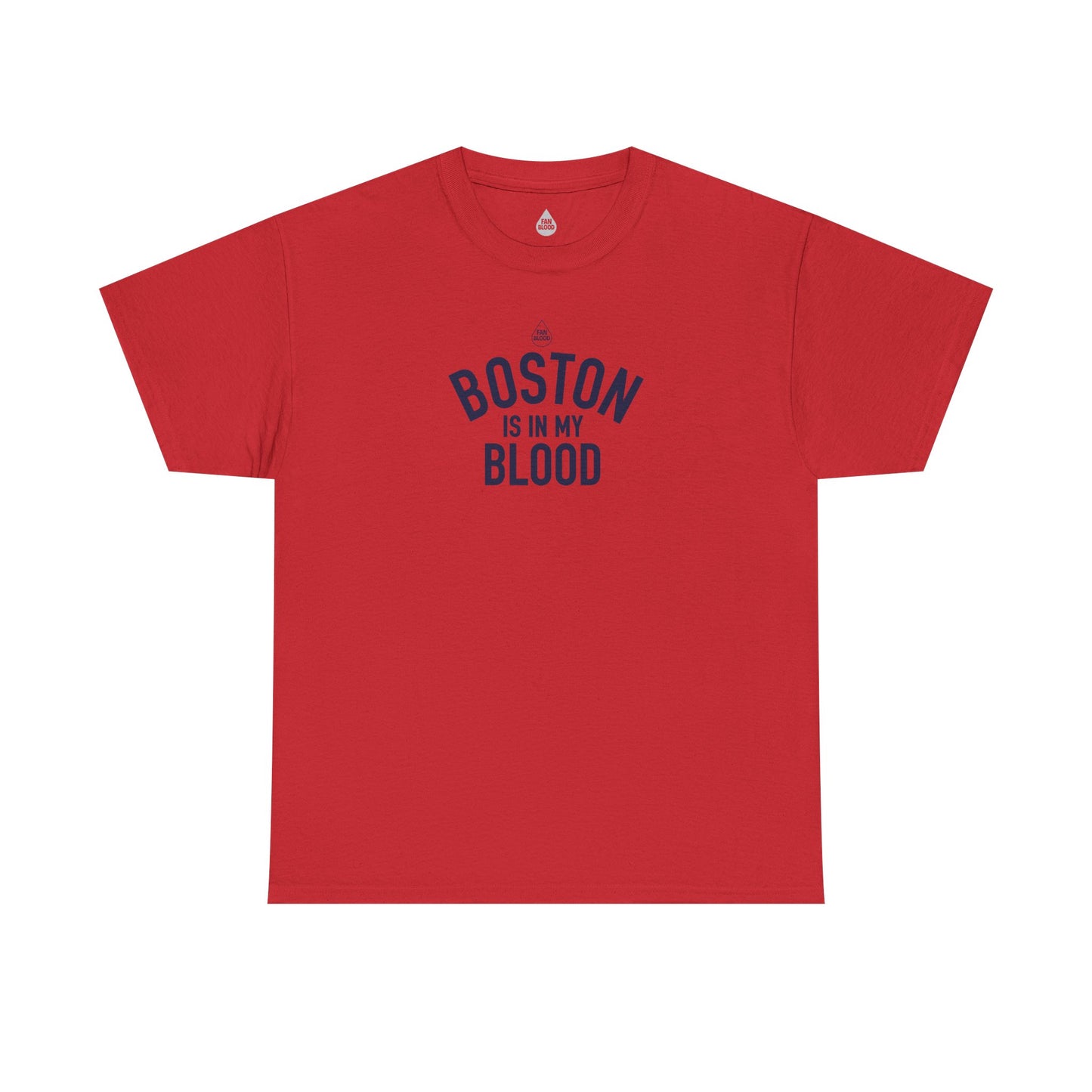 Boston IMB T-Shirt
