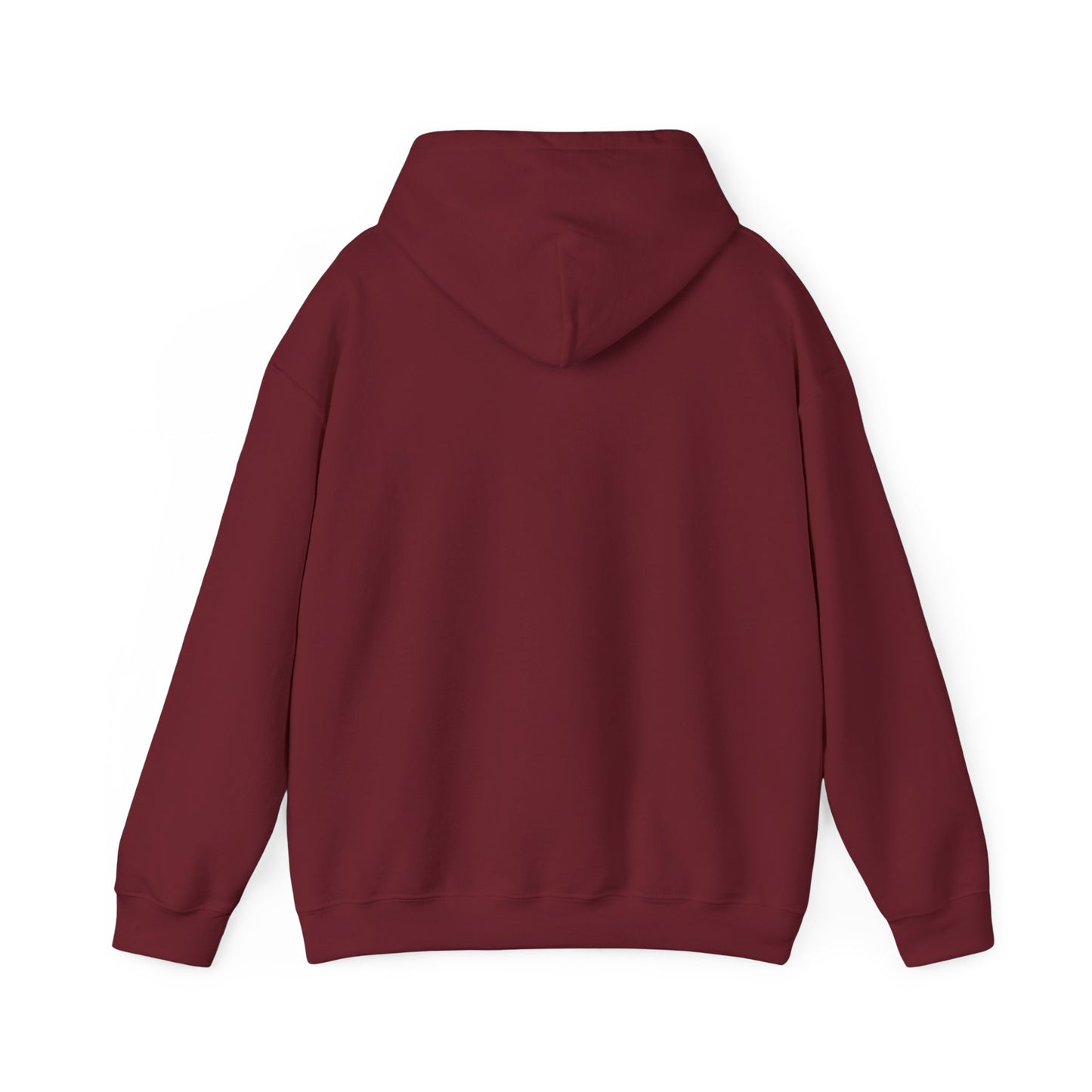 Tallahassee IMB Hoodie