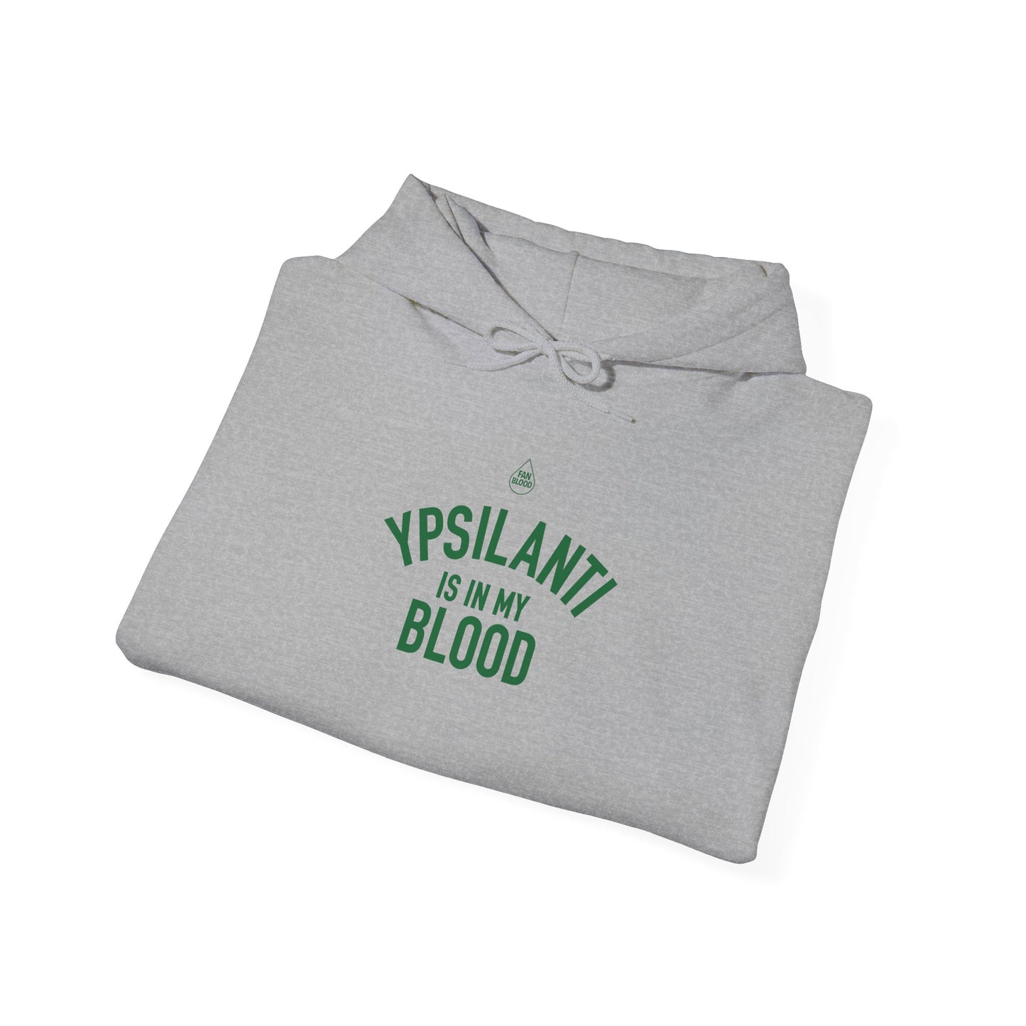 Ypsilanti IMB Hoodie
