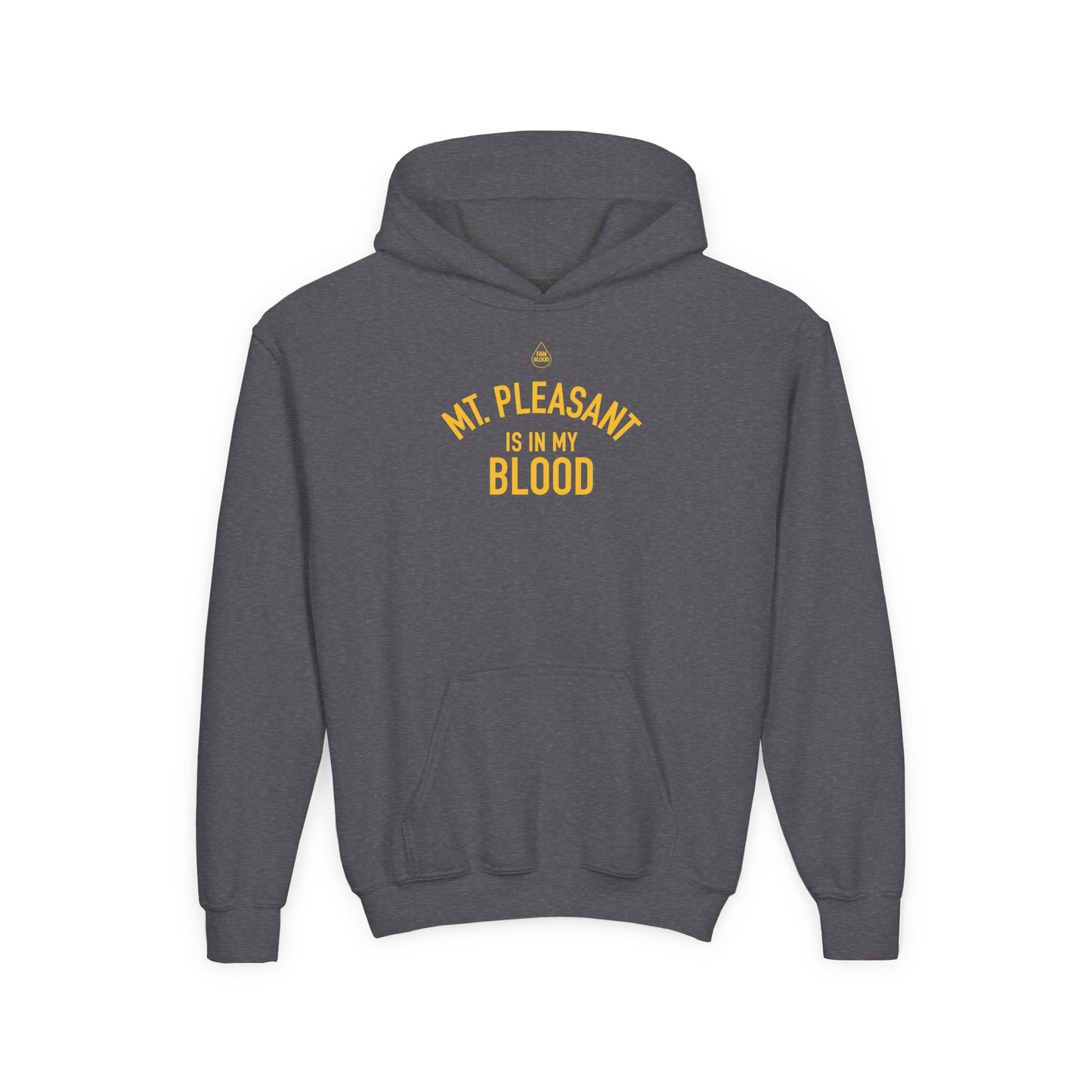 Mt. Pleasant IMB Kid's Hoodie