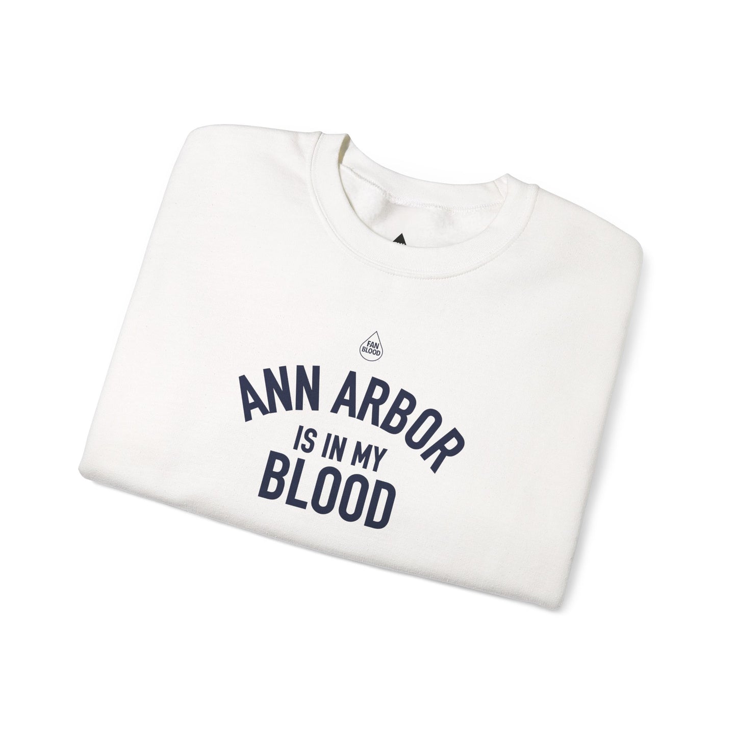 Ann Arbor IMB Sweatshirt