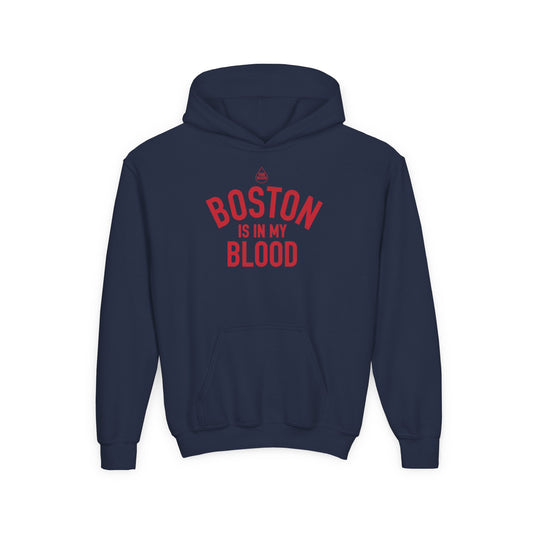 Boston IMB Kid's Hoodie