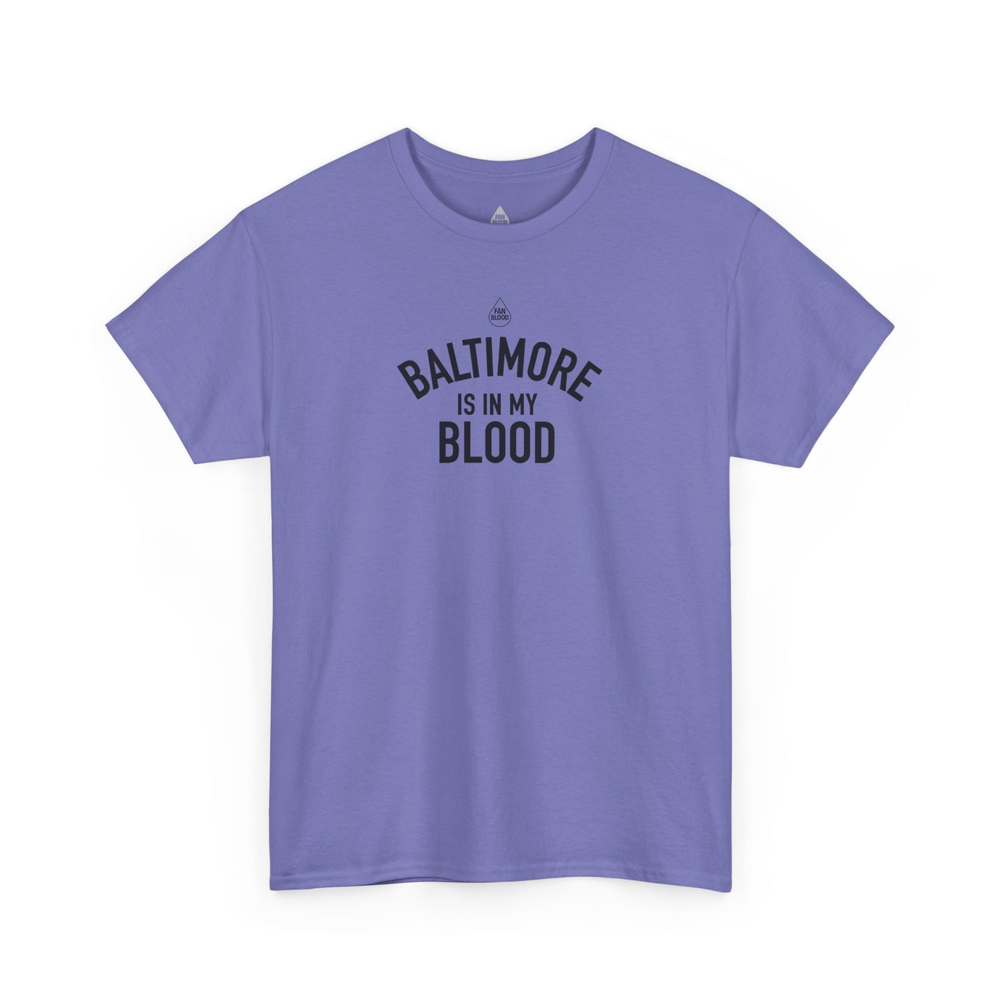 Baltimore IMB T-Shirt