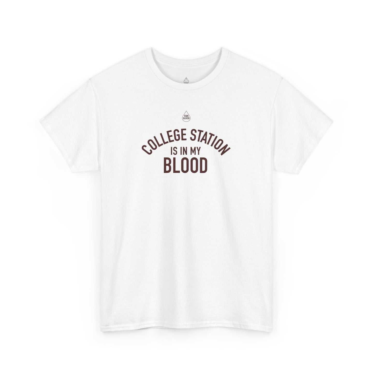 College Station IMB T-Shirt
