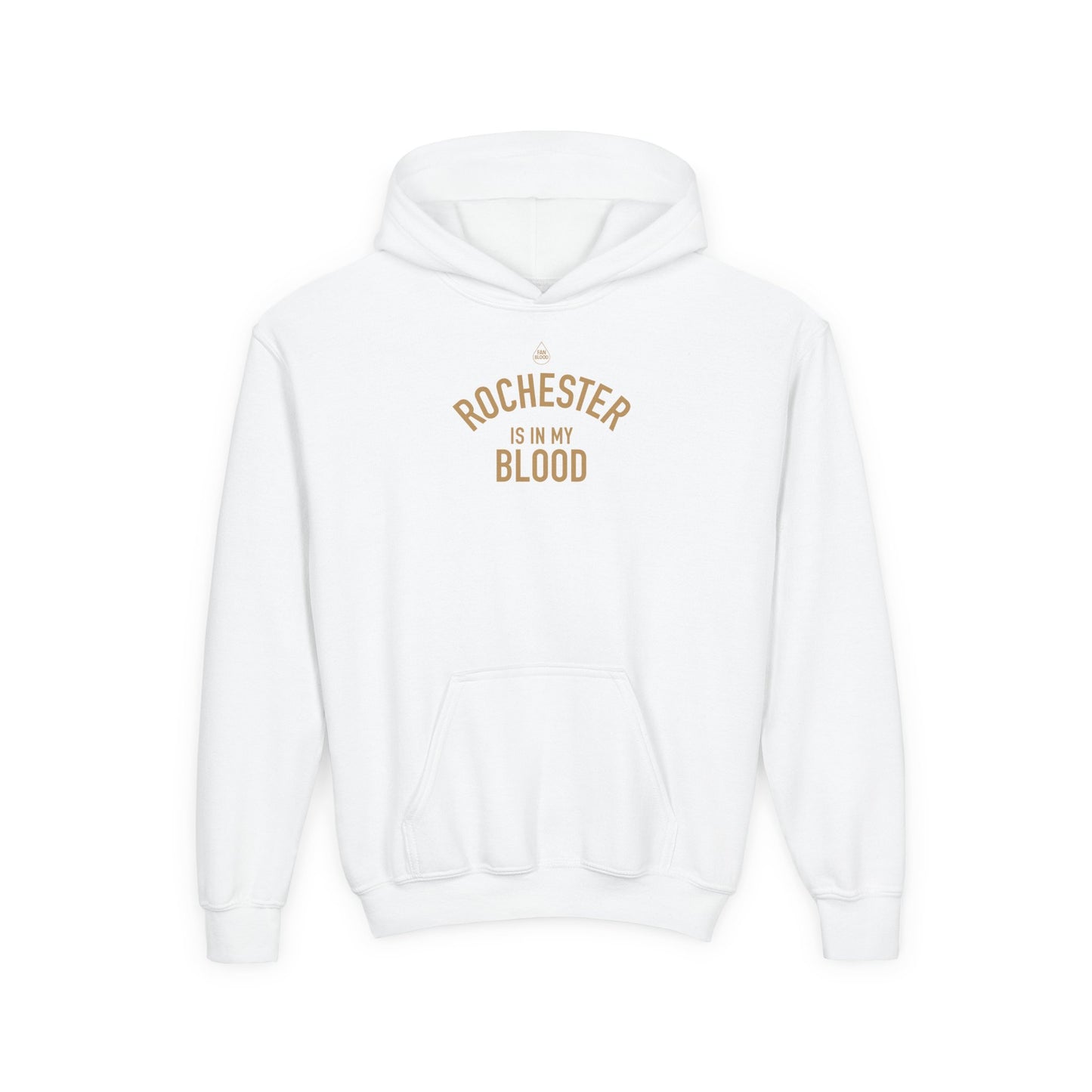Rochester IMB Kid's Hoodie