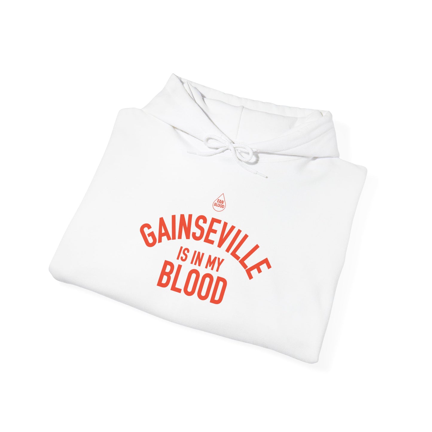 Gainesville IMB Hoodie