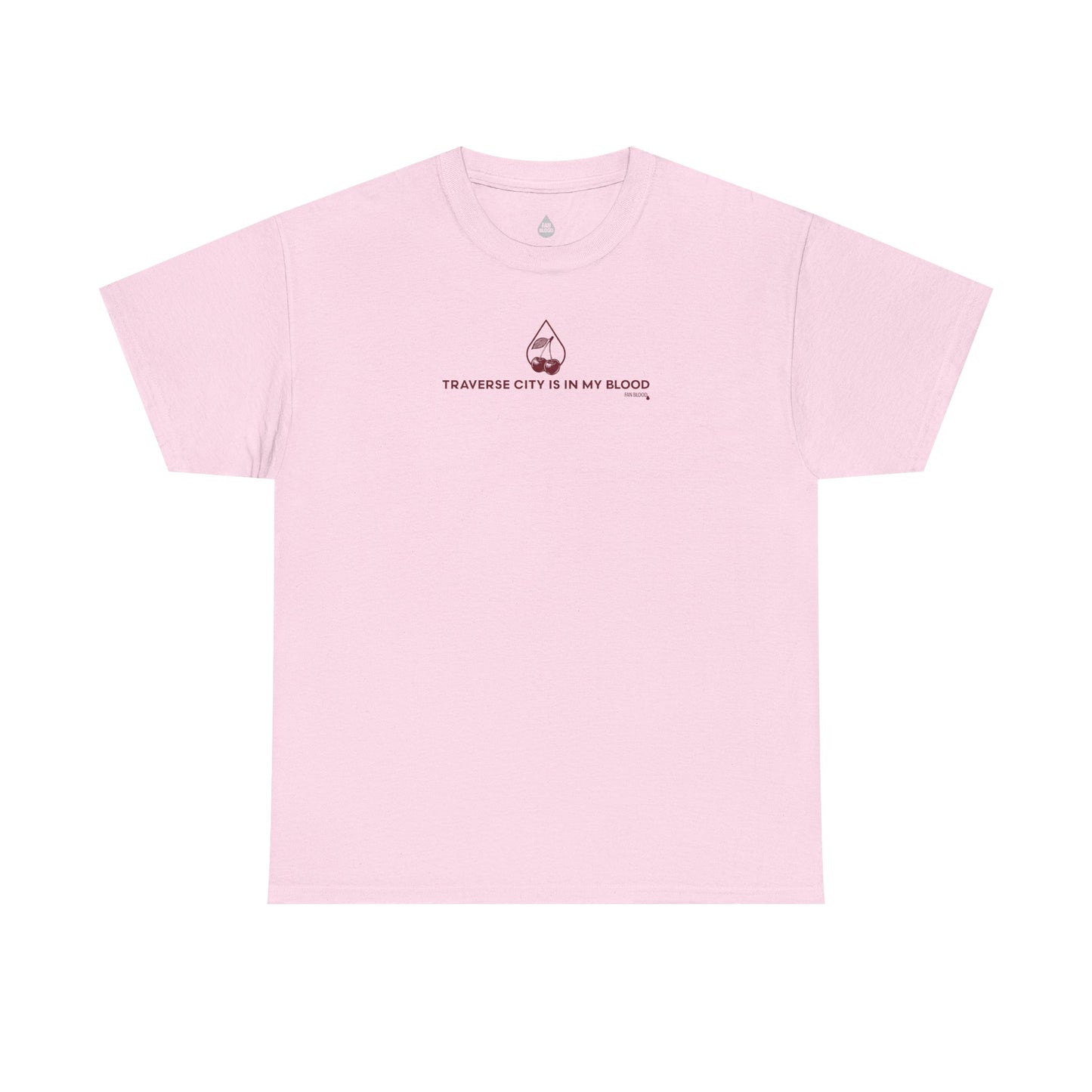Traverse City IMB T-Shirt