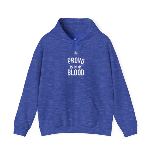 Provo IMB Hoodie