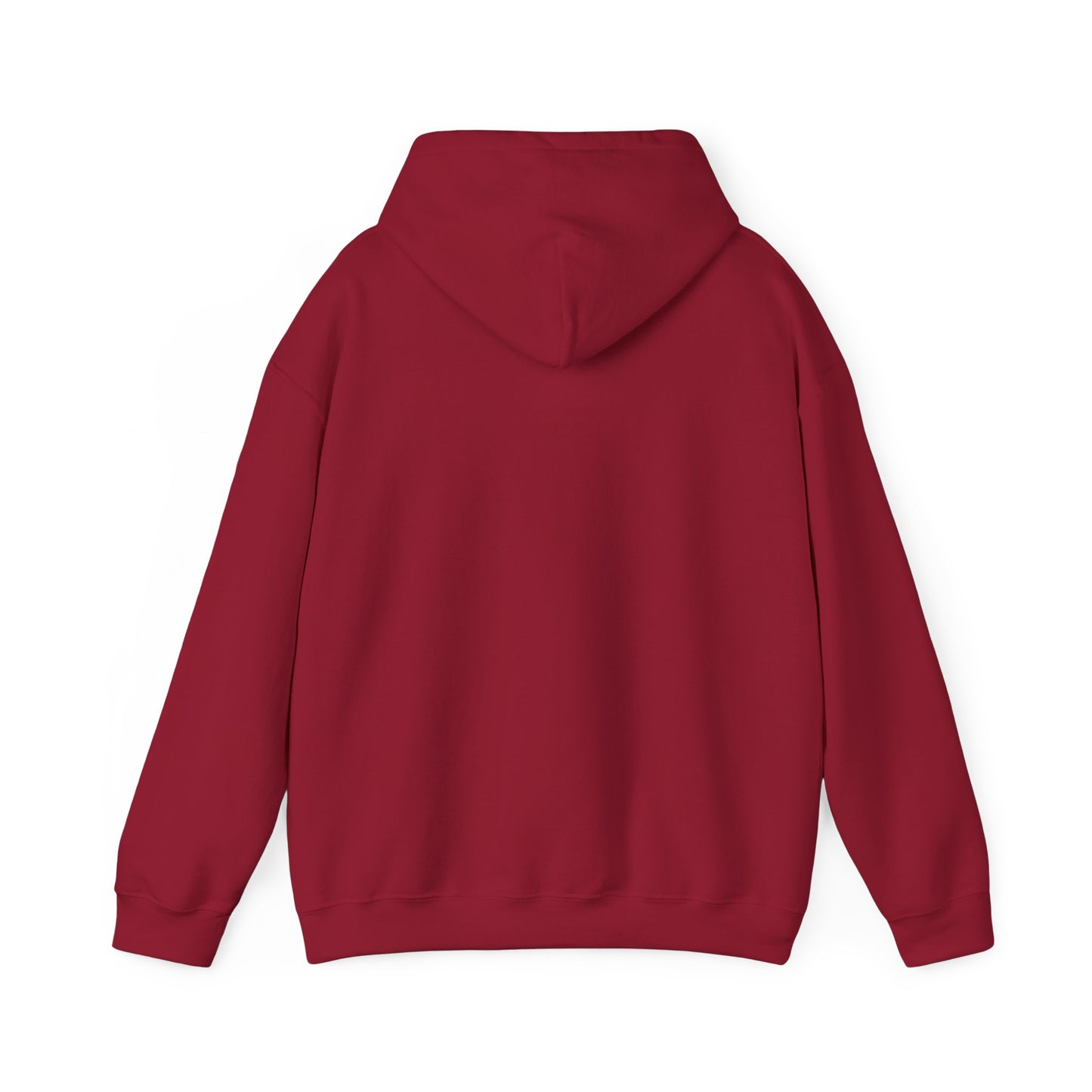 Ames IMB Hoodie
