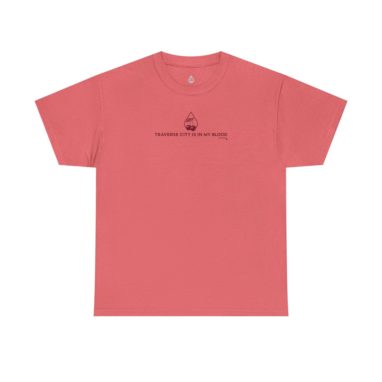 Traverse City IMB T-Shirt