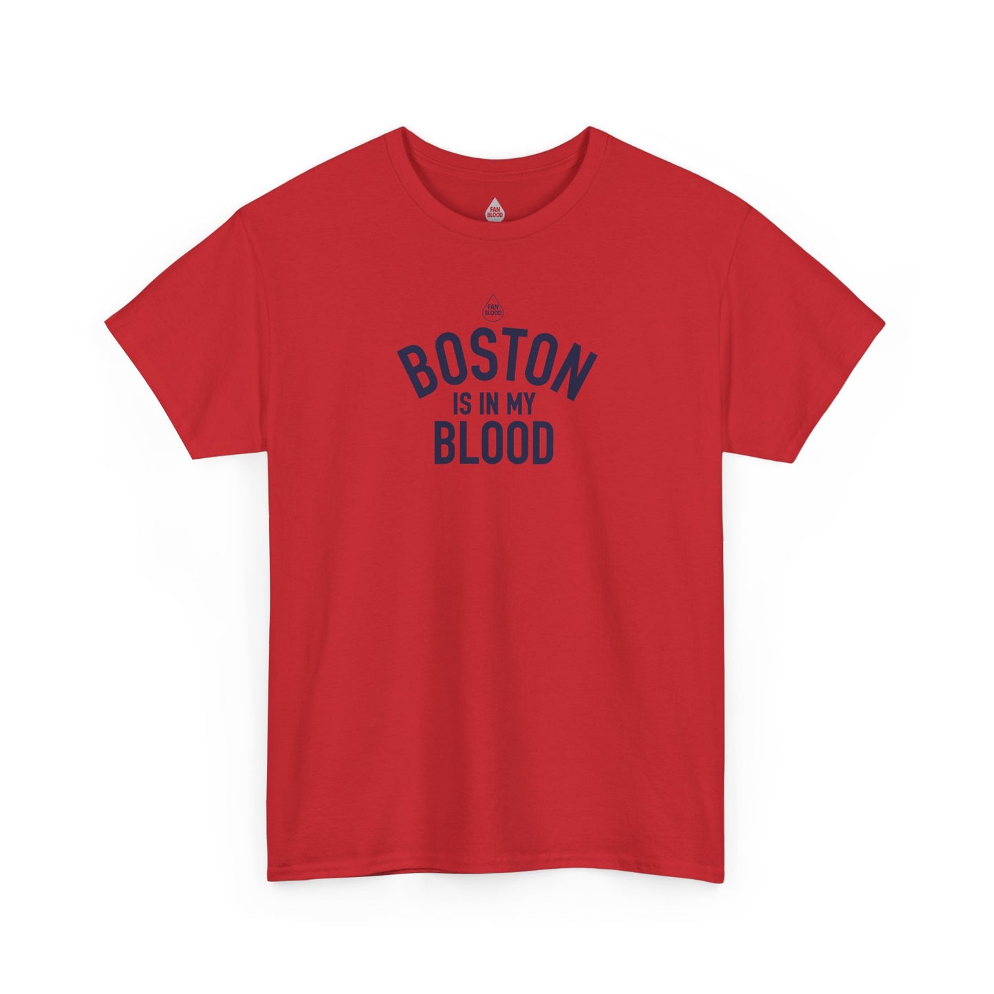 Boston IMB T-Shirt