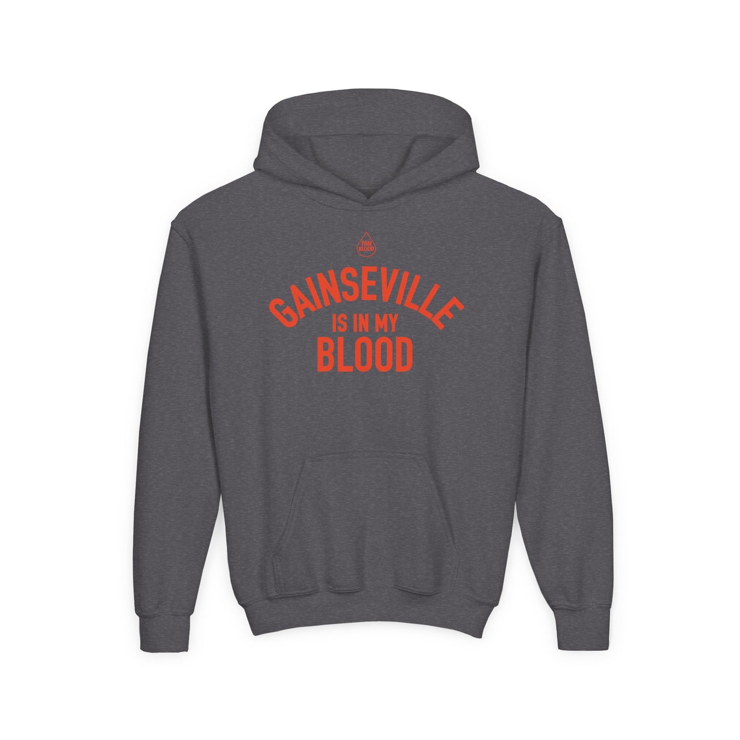 Gainesville IMB Kid's Hoodie