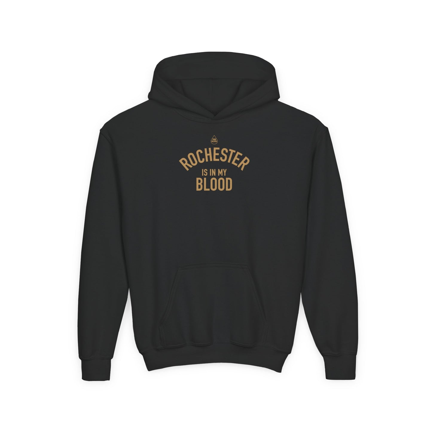 Rochester IMB Kid's Hoodie