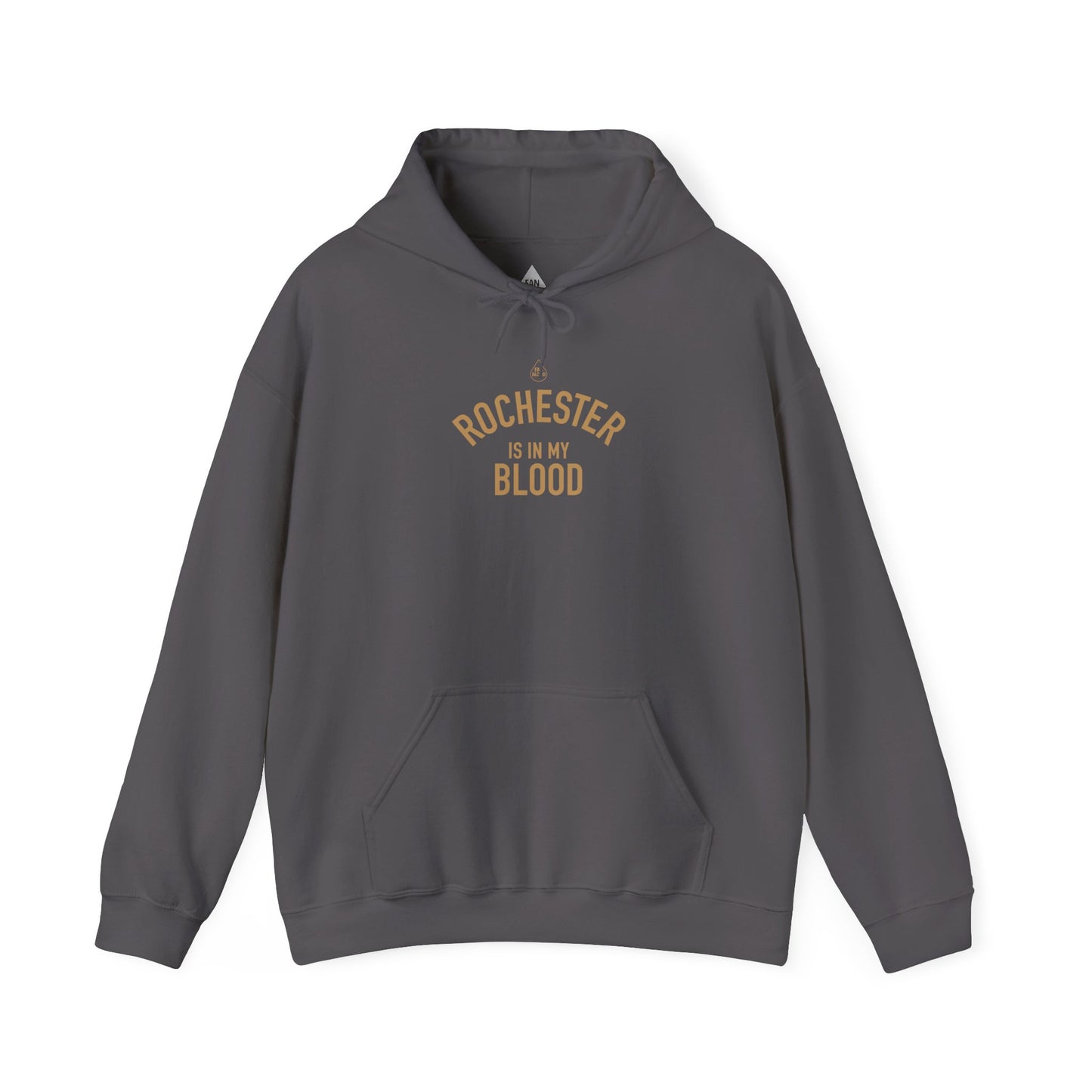 Rochester IMB Hoodie