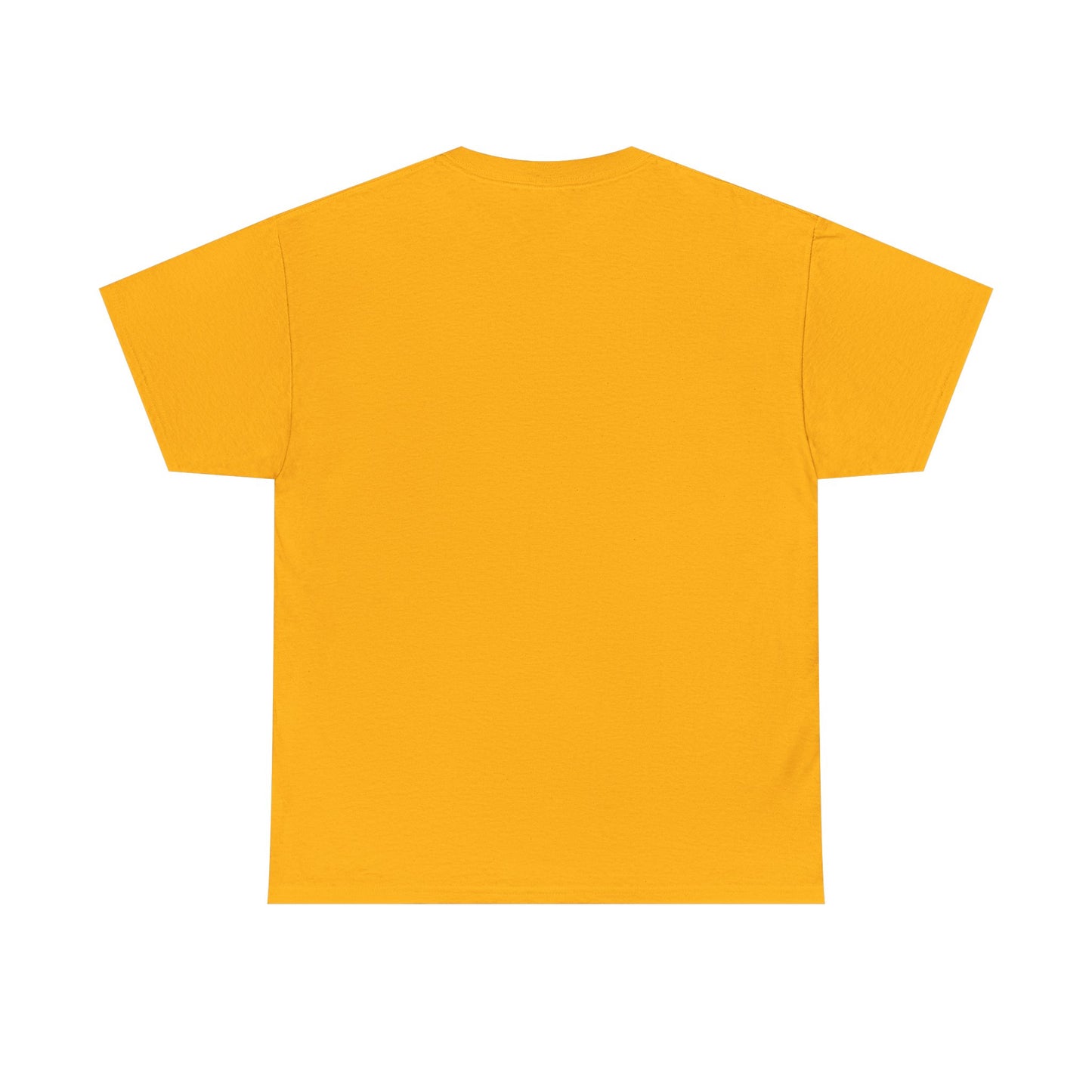 Ames IMB T-Shirt