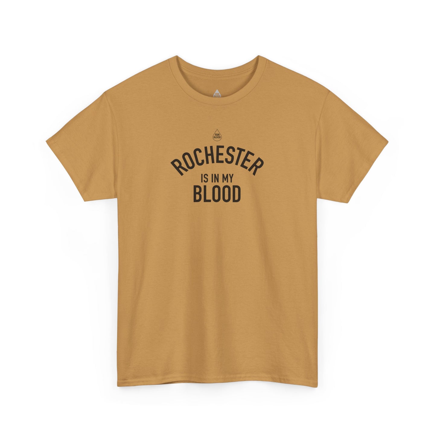 Rochester IMB T-Shirt