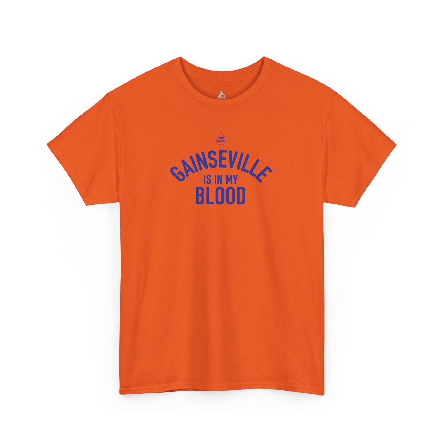 Gainesville IMB T-Shirt