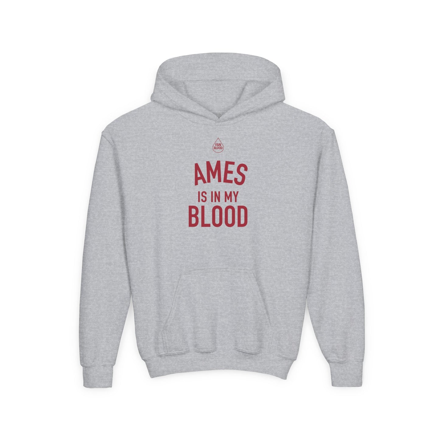 Ames IMB Kid's Hoodie