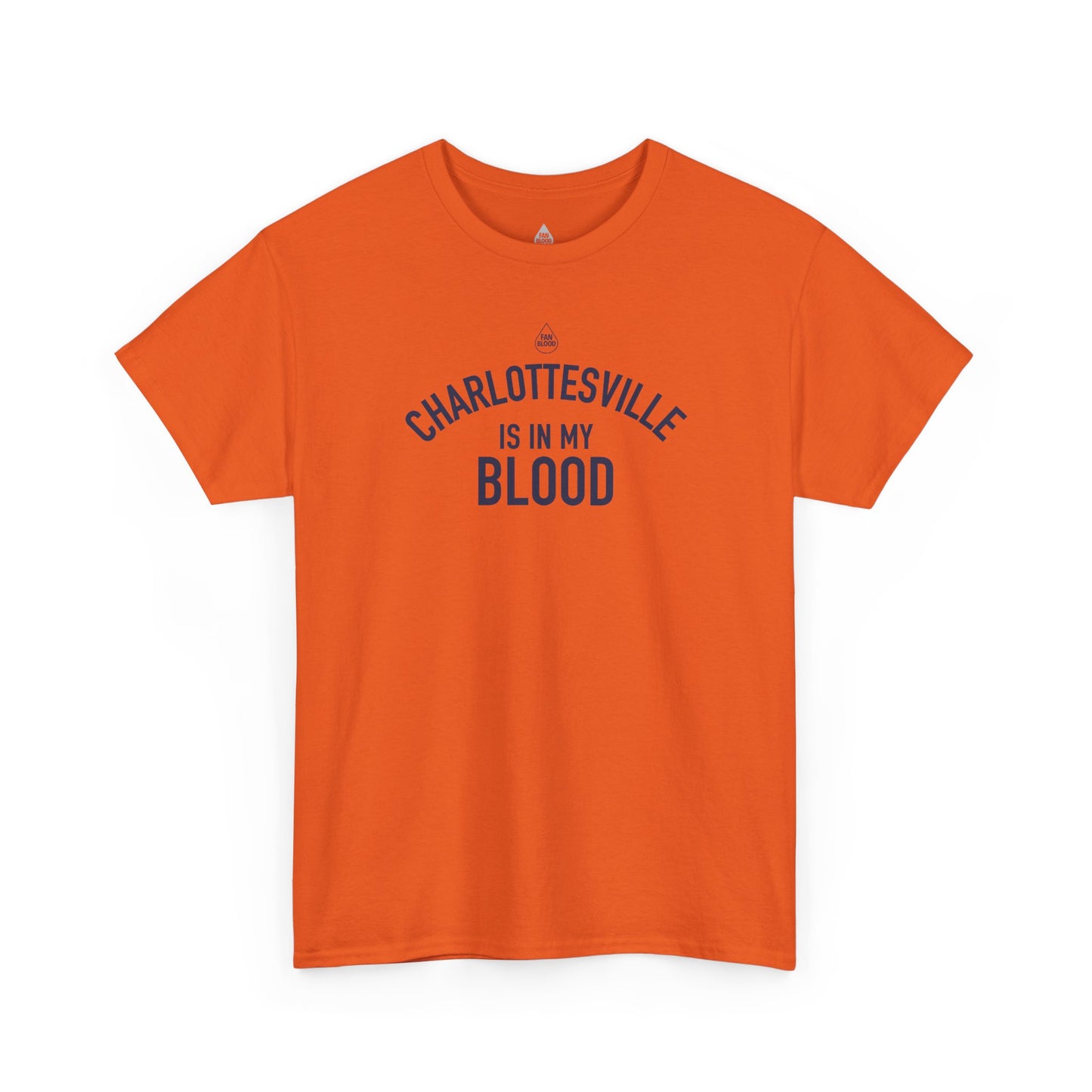 Charlottesville IMB T-Shirt