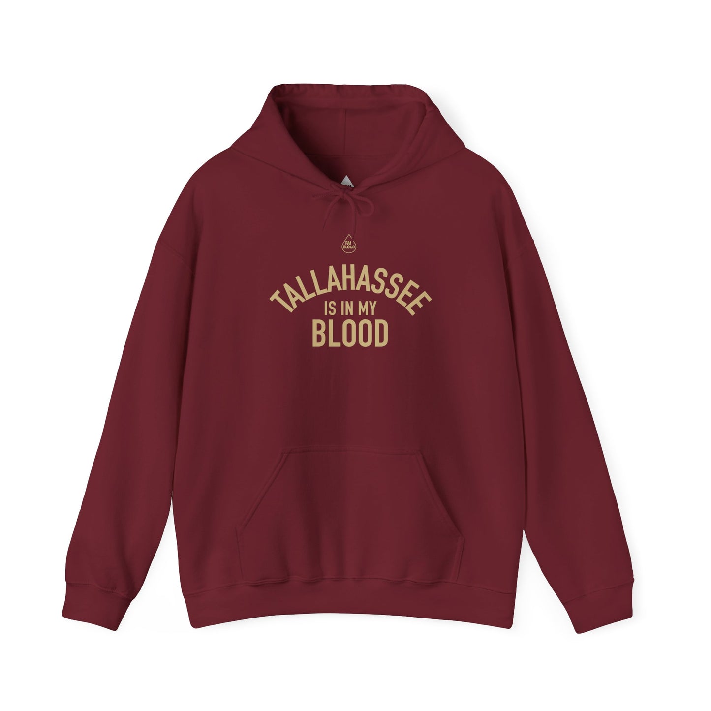 Tallahassee IMB Hoodie