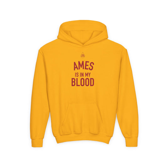 Ames IMB Kid's Hoodie