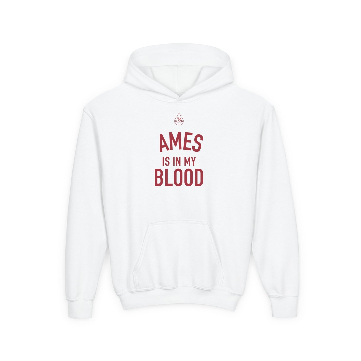 Ames IMB Kid's Hoodie