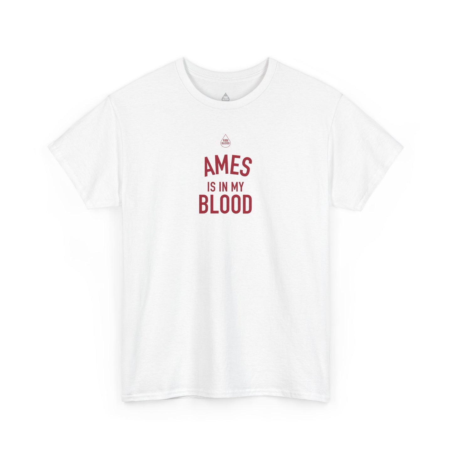Ames IMB T-Shirt