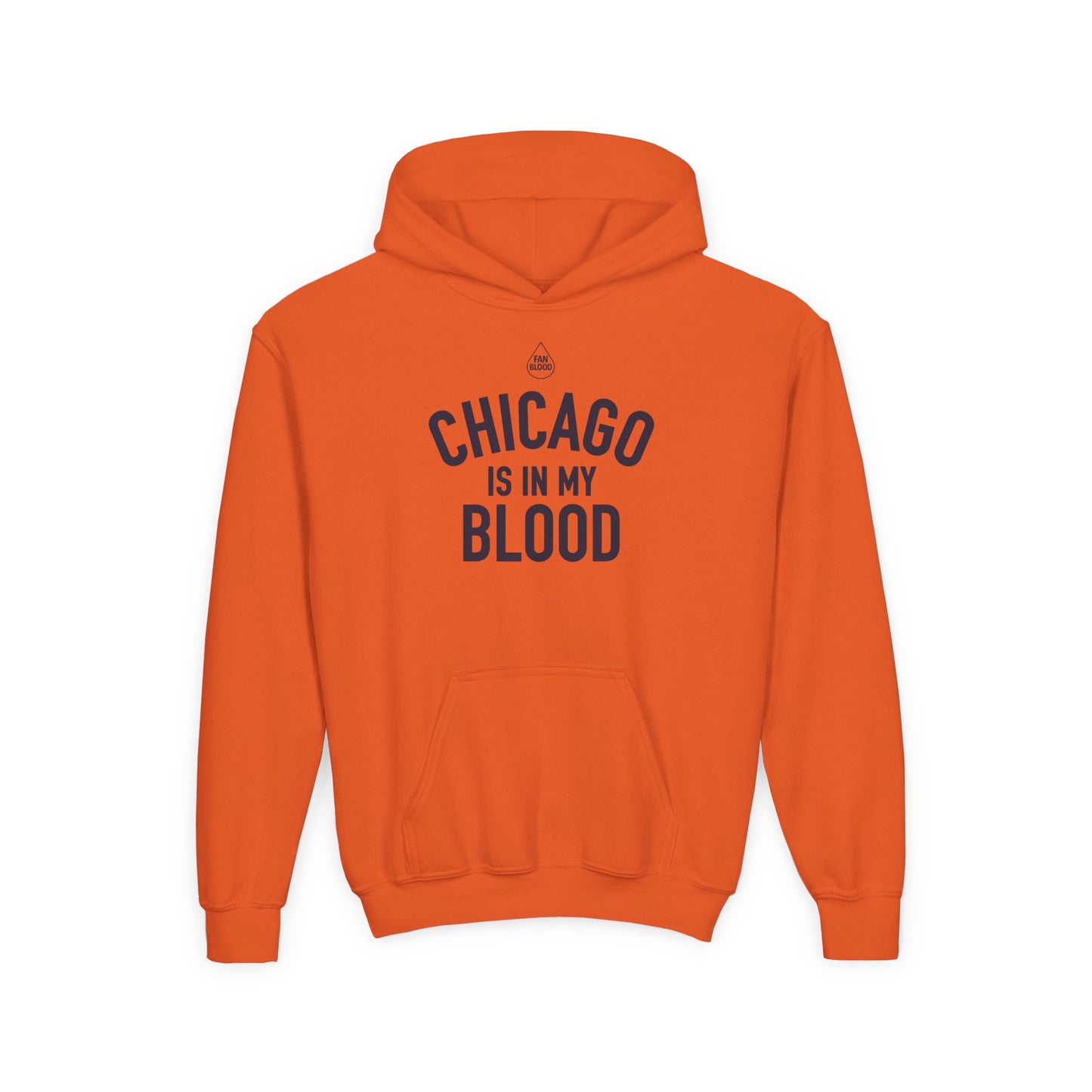 Chicago IMB Kid's Hoodie