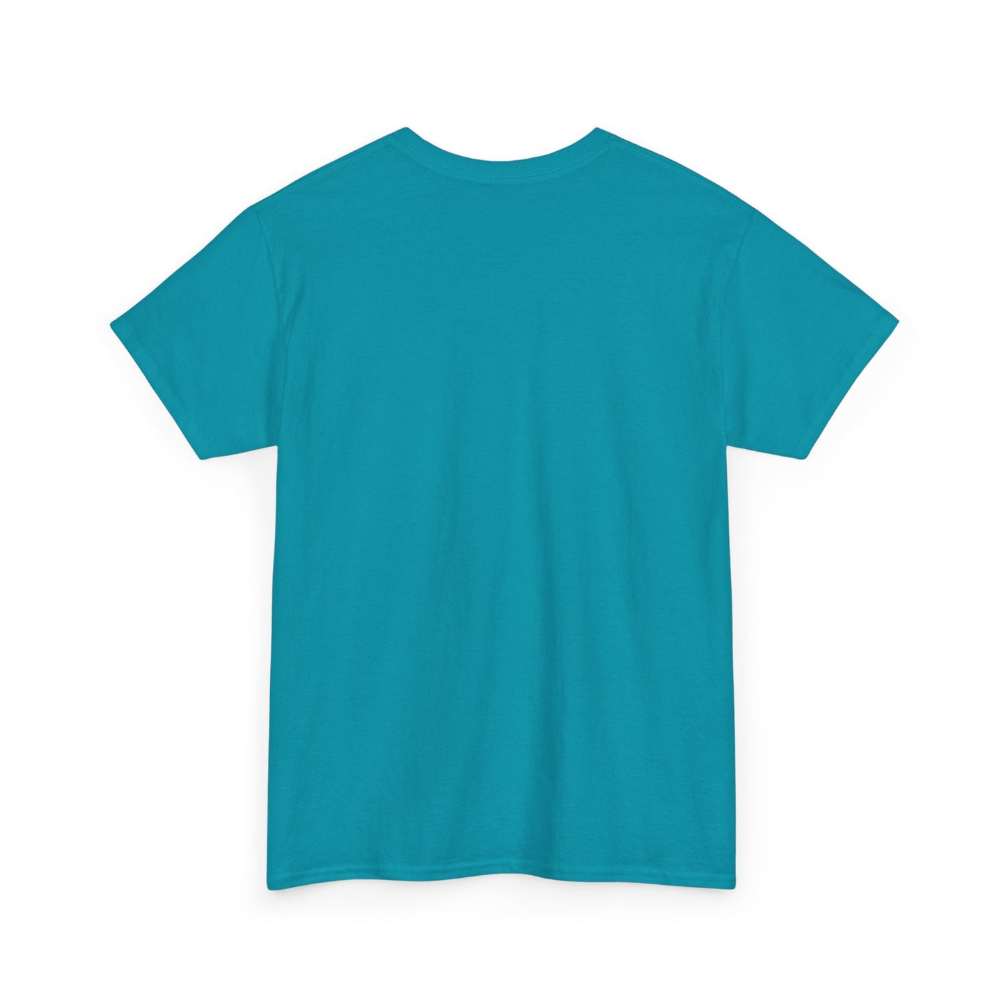 I Bleed Aqua & Orange Women's T