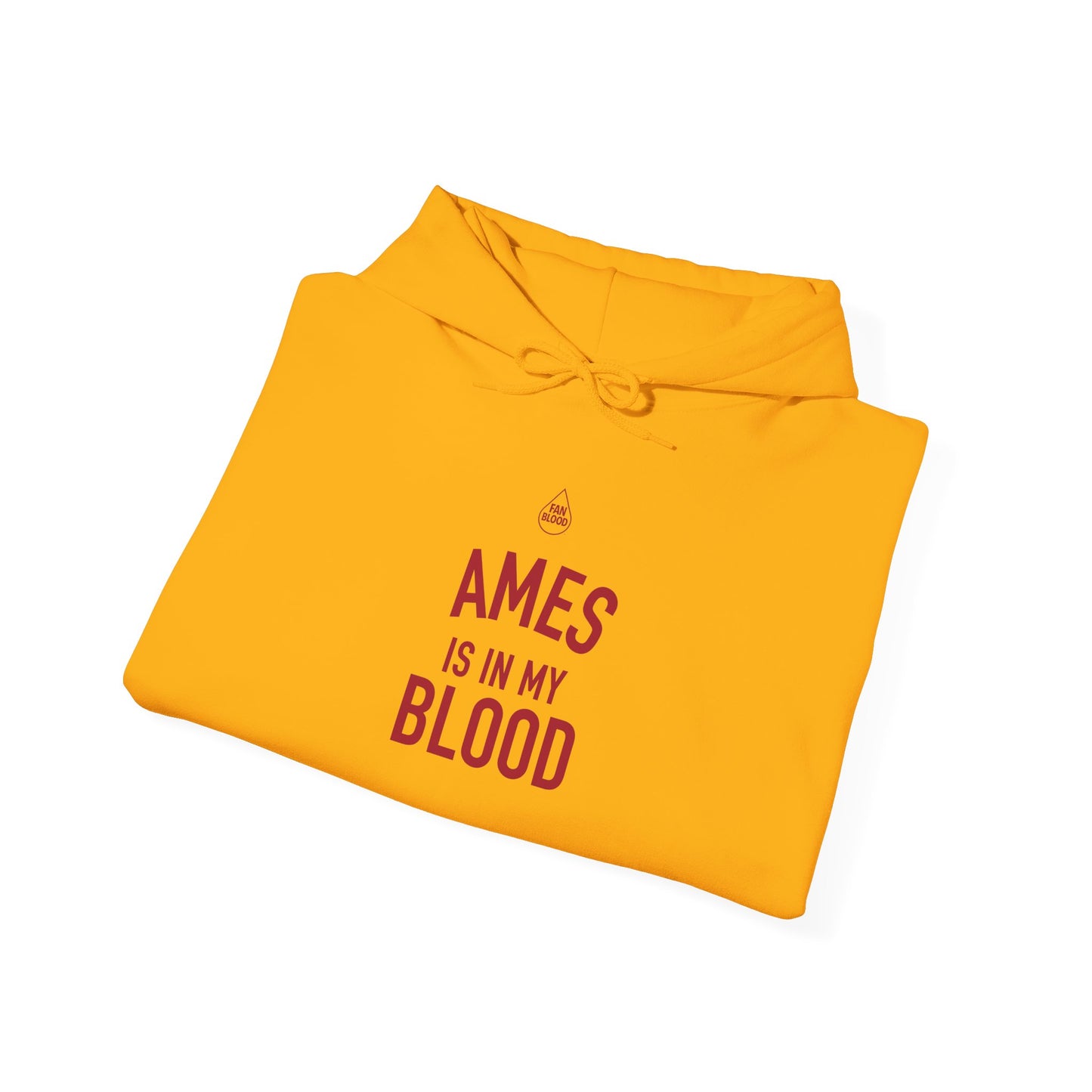 Ames IMB Hoodie