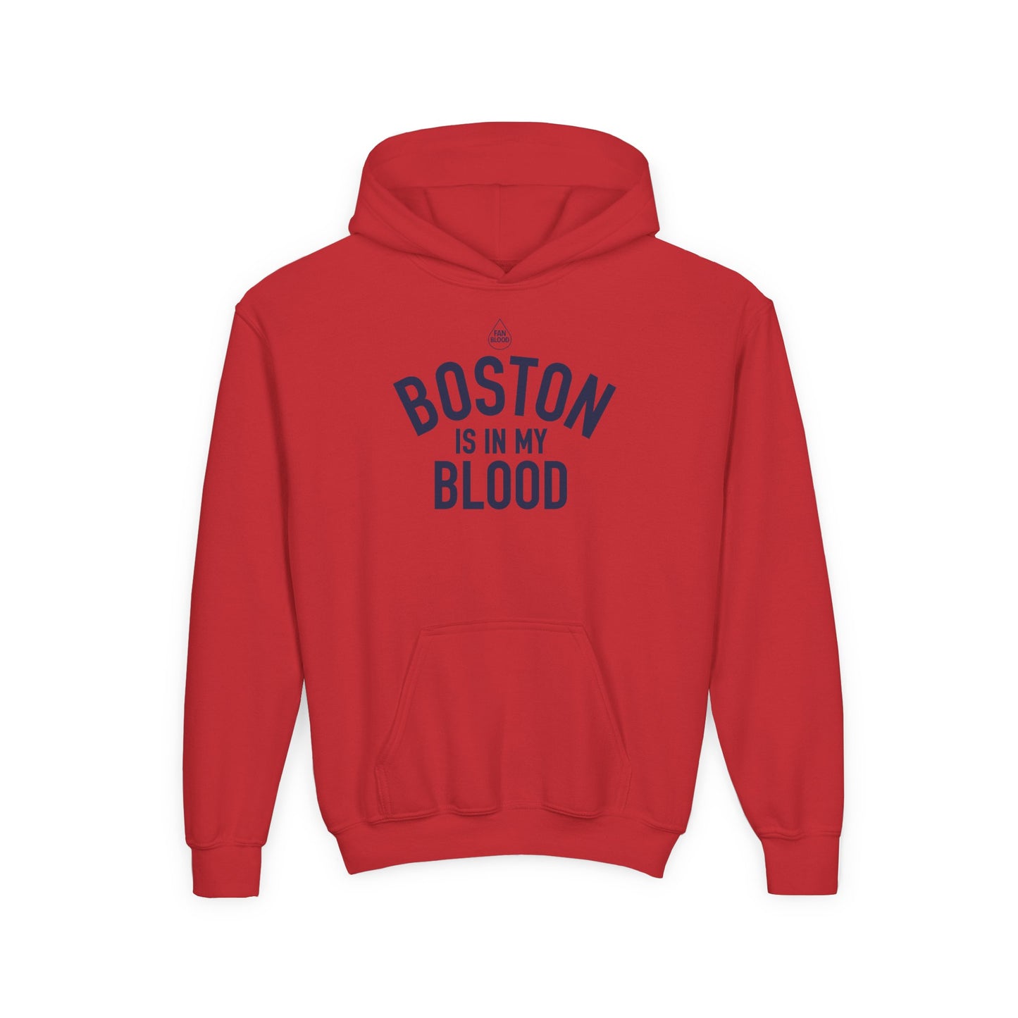 Boston IMB Kid's Hoodie