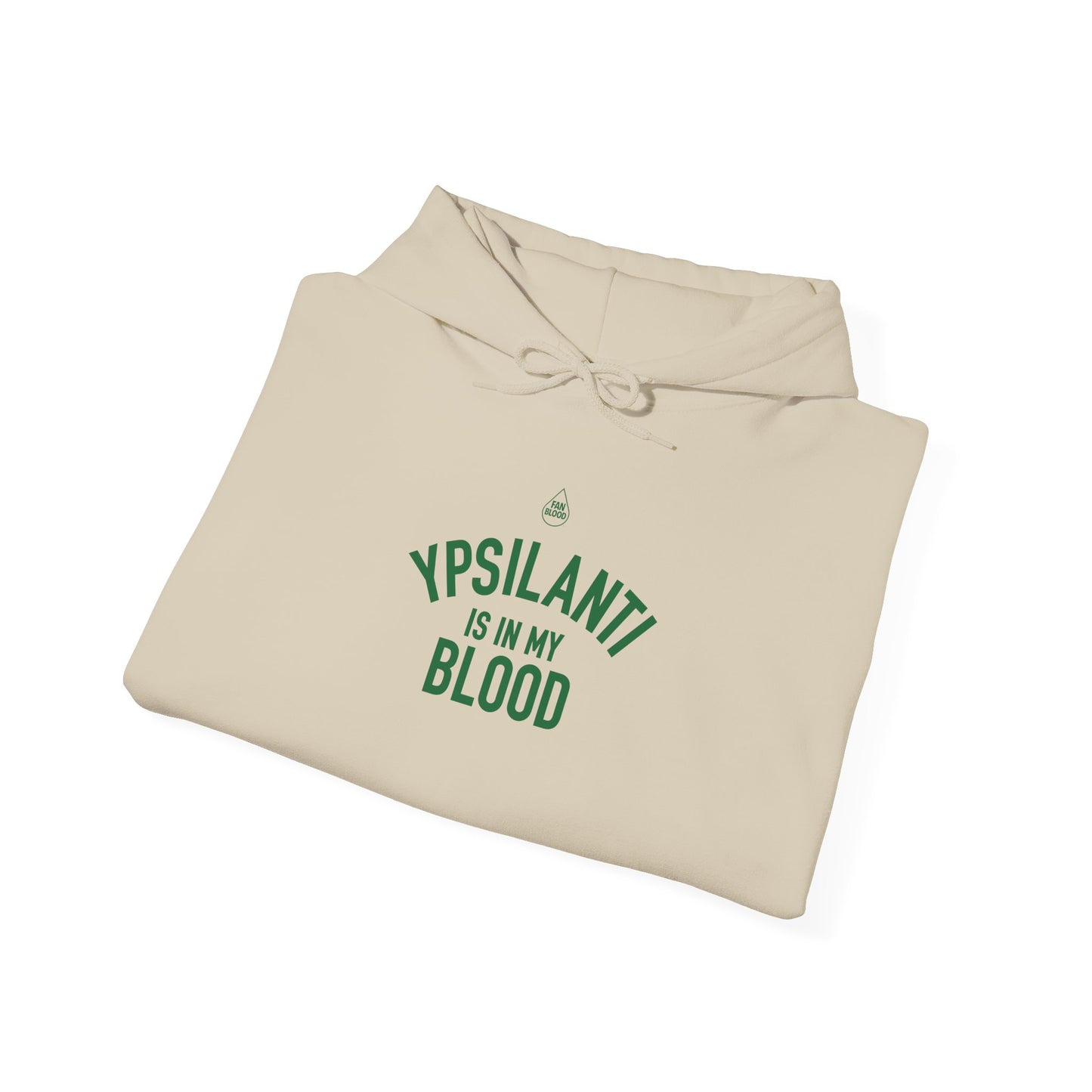 Ypsilanti IMB Hoodie