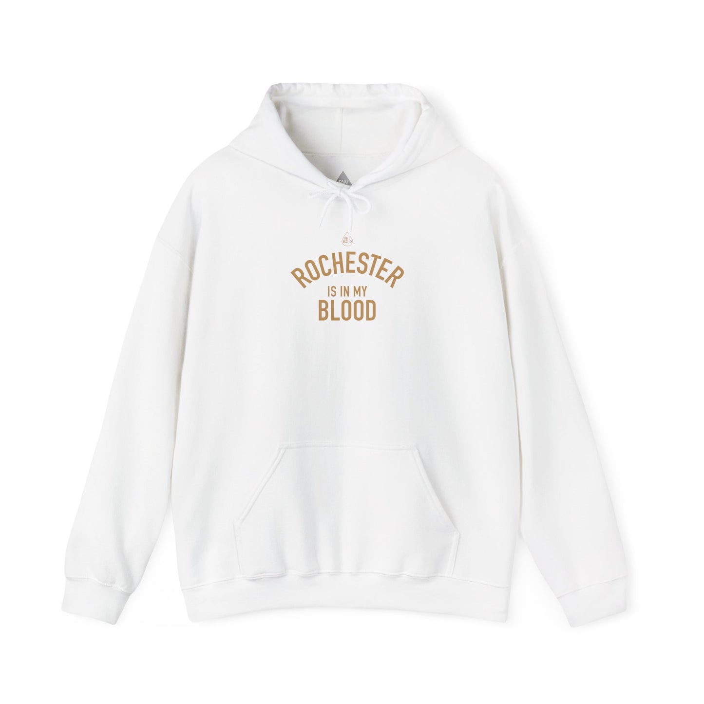 Rochester IMB Hoodie