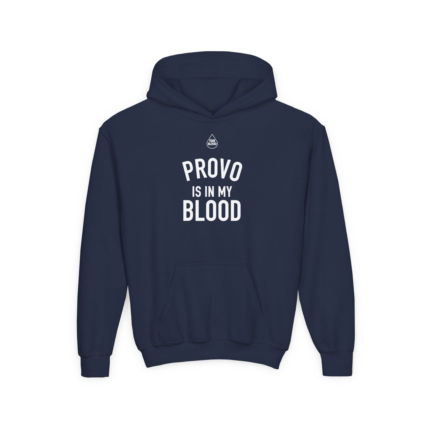 Provo IMB Kid's Hoodie