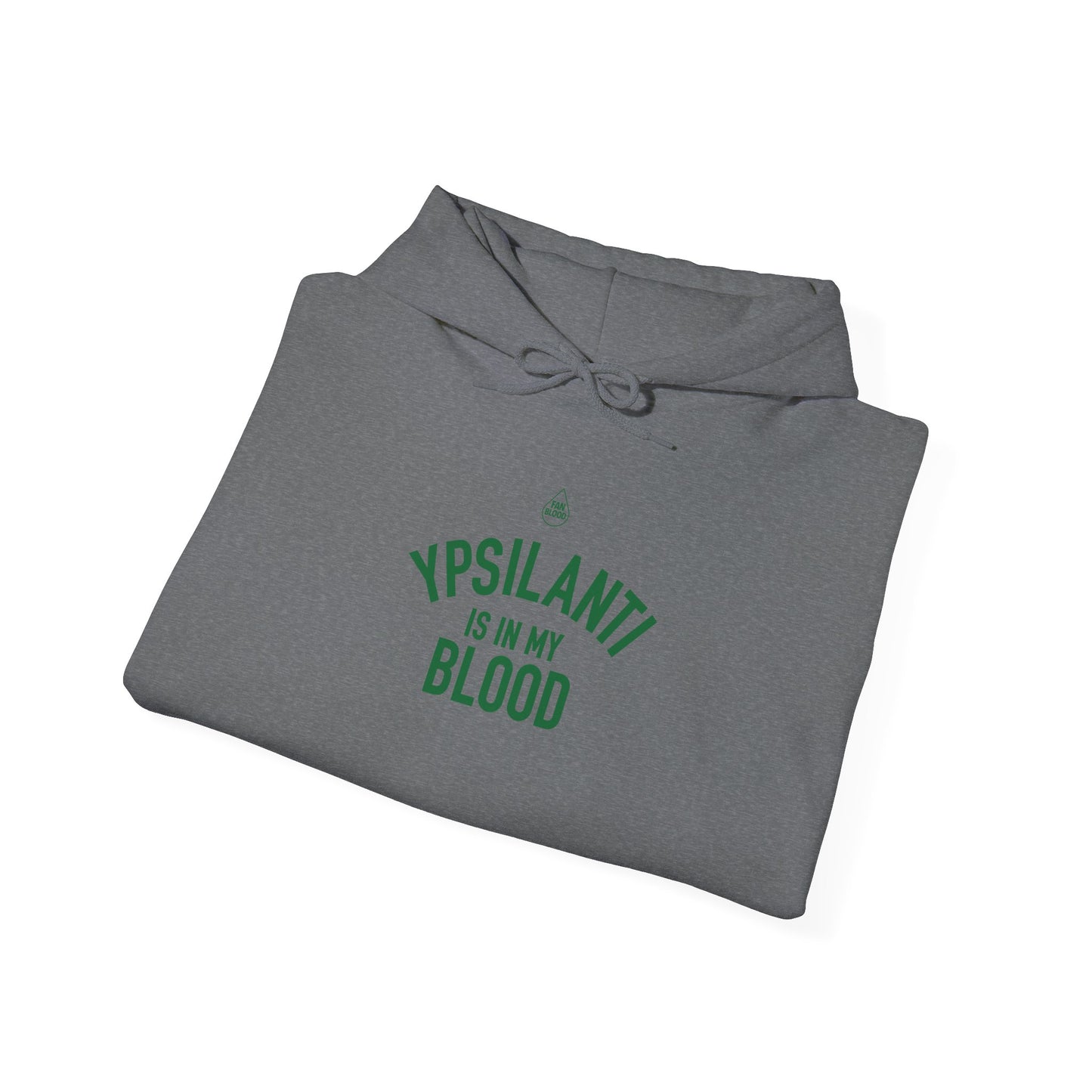 Ypsilanti IMB Hoodie