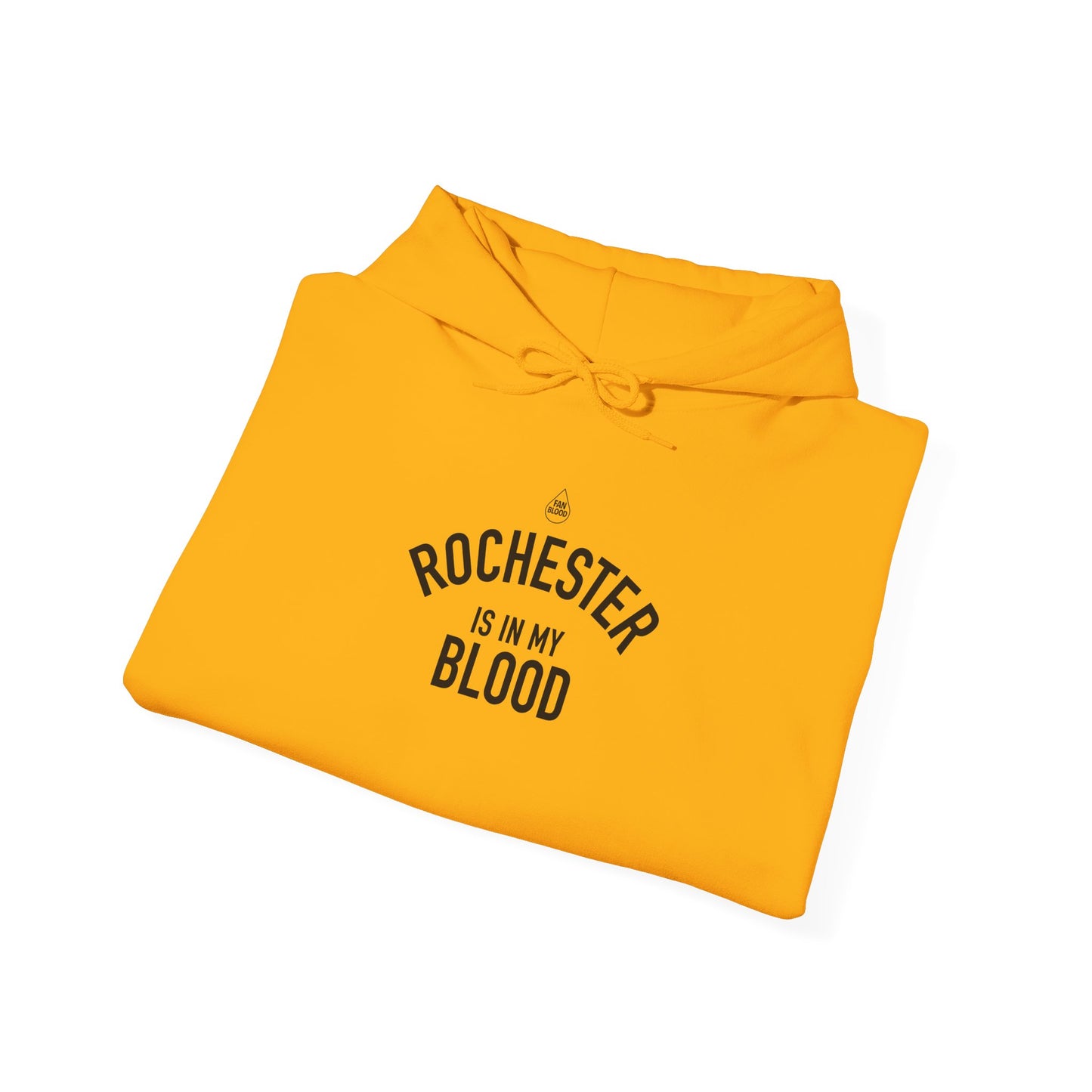 Rochester IMB Hoodie