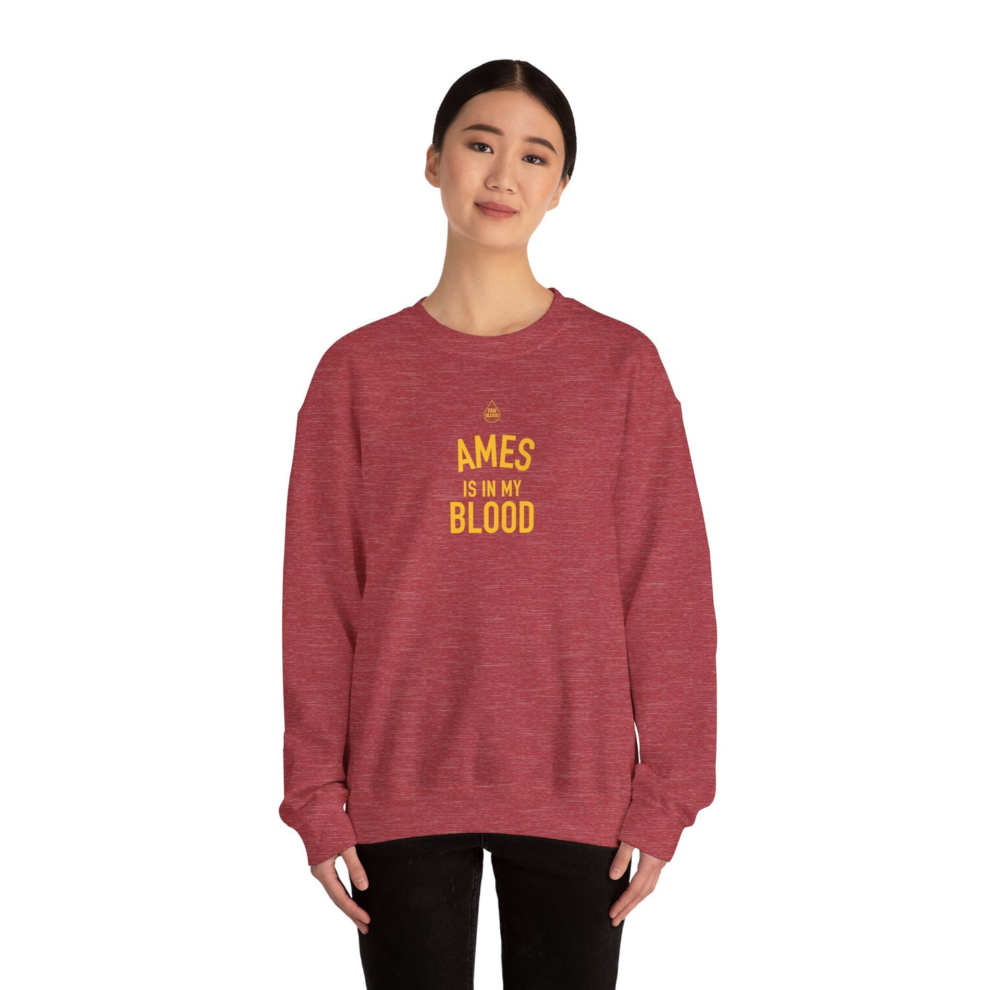Ames IMB Sweatshirt