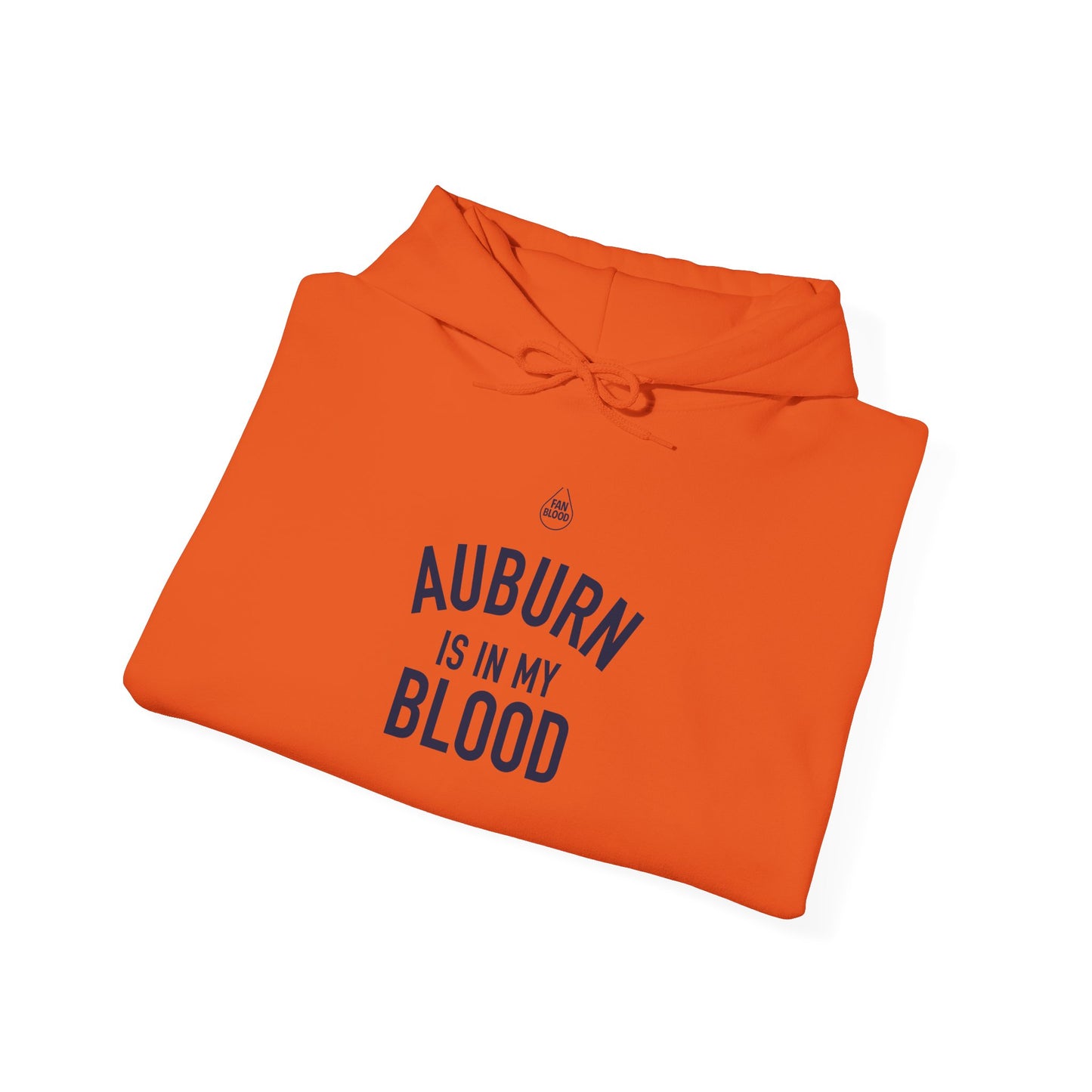 Auburn IMB Hoodie