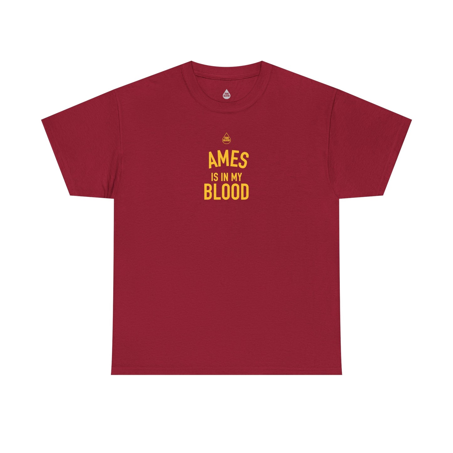 Ames IMB T-Shirt