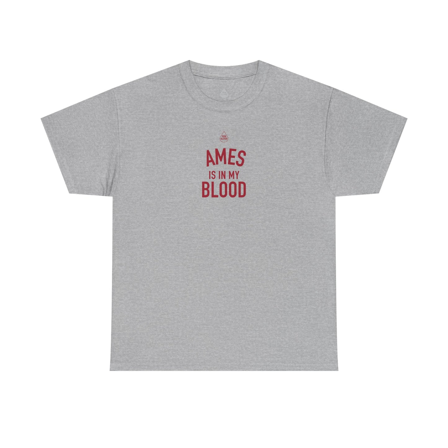 Ames IMB T-Shirt